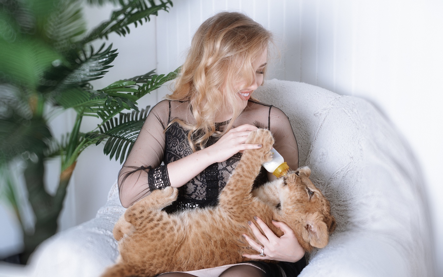 Красивая девушка кормит маленького тигренка 