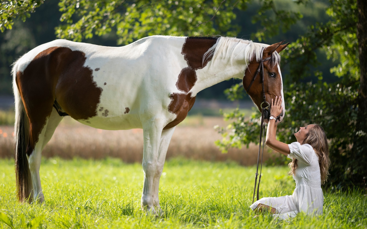 Девушка блондинка с лошадью на зеленой траве