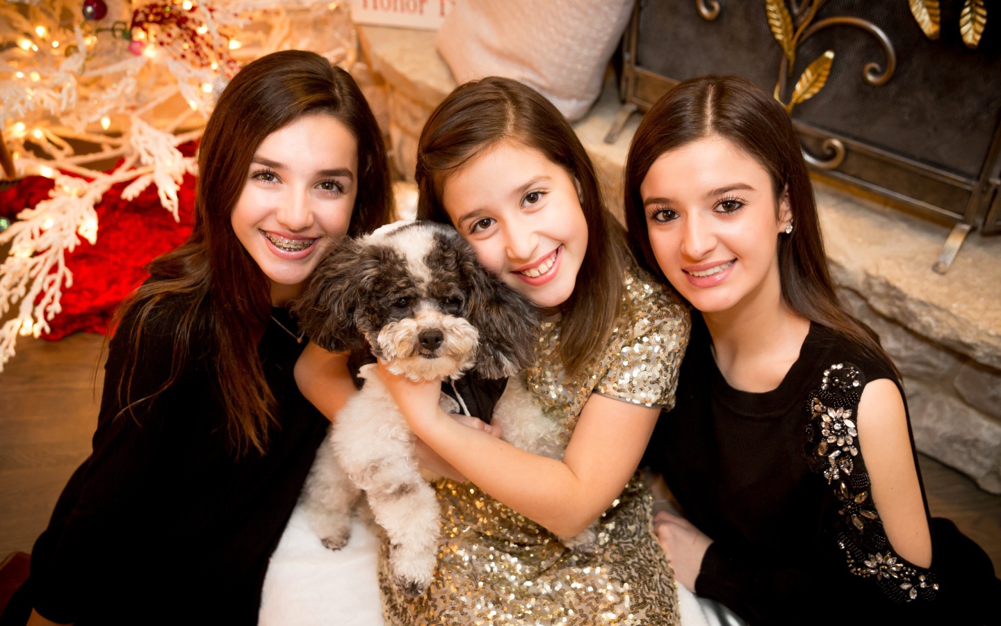Три улыбающихся девушки с собакой на новый год