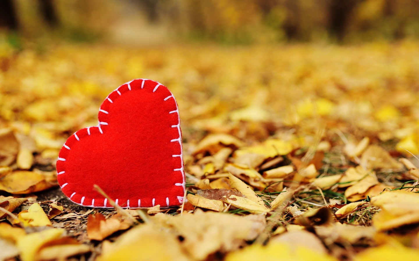 Красное сердце из ткани лежит на сухой листве