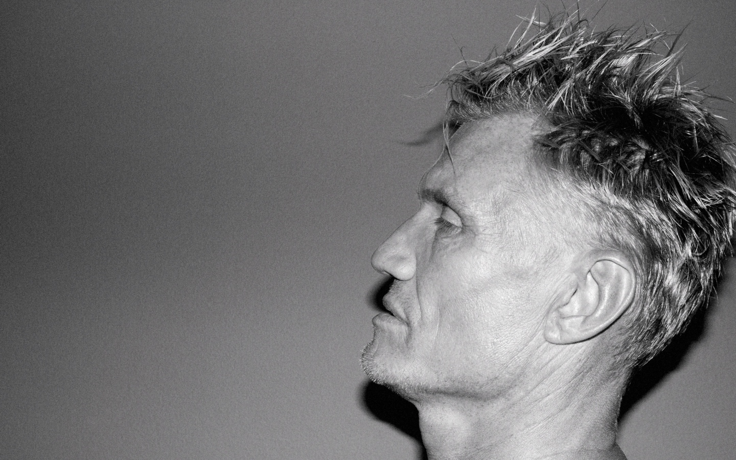 Лицо актера Дольфа Лундгрена боком на сером фоне