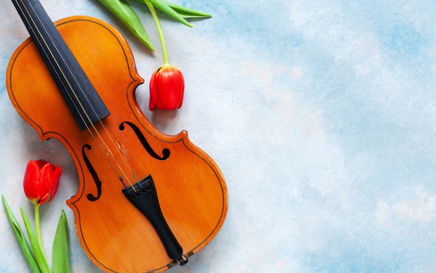 Скрипка с тюльпанами на голубом фоне
