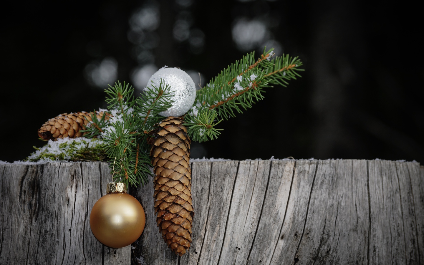 Зеленая ветка ели с шишкой и шариком на пне 