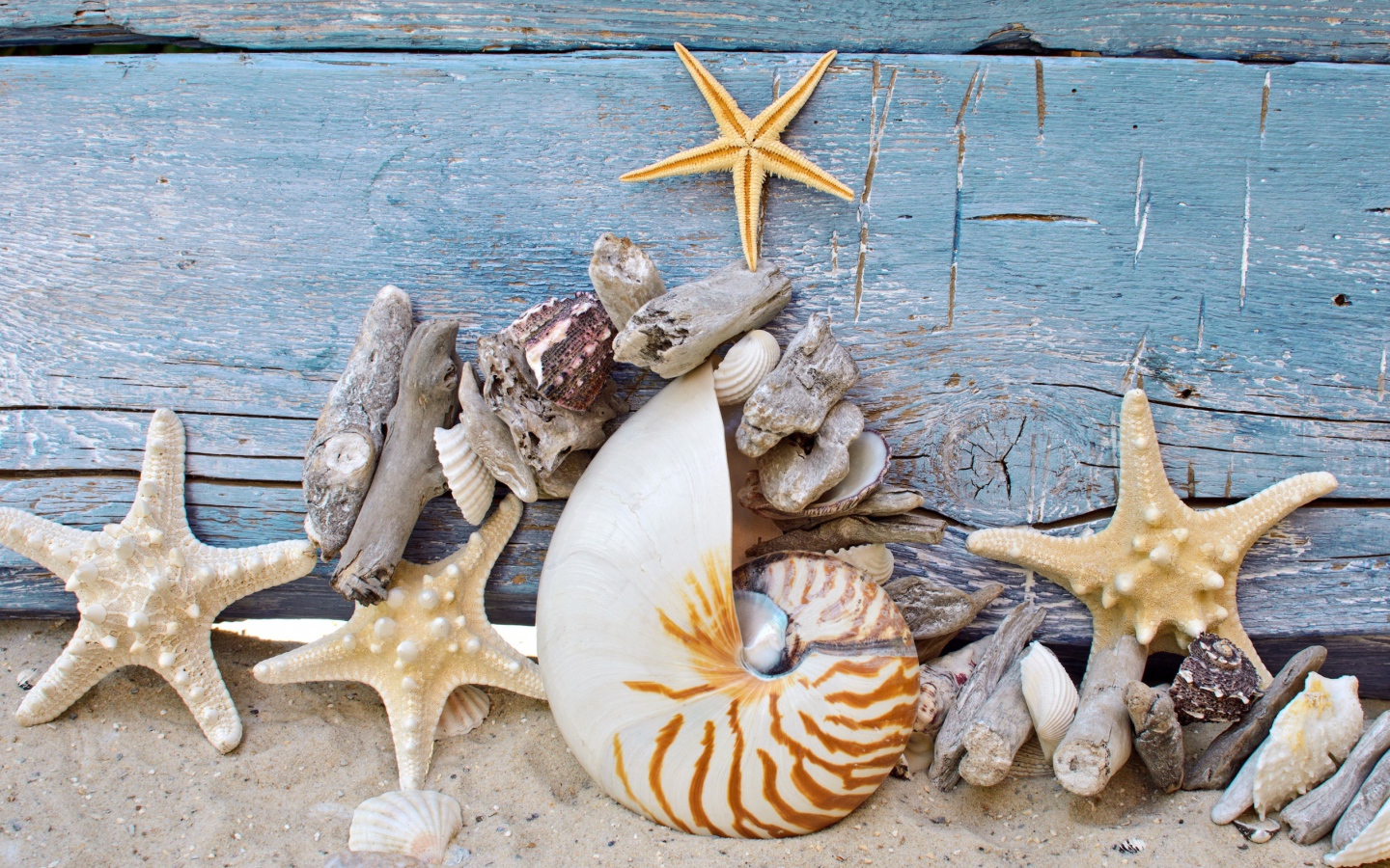 Разные красивые ракушки с морскими звездами на деревянном фоне 