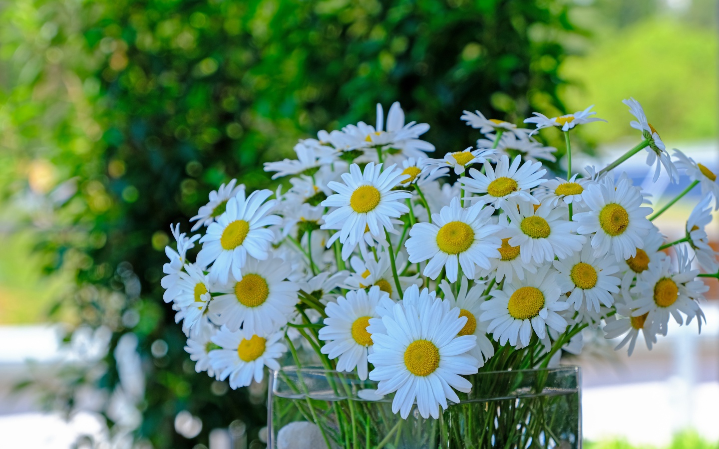Большой букет белых ромашек в стеклянной вазе на столе 