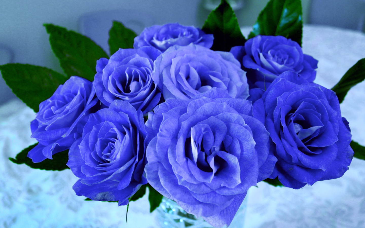 Красивый букет синих роз крупным планом