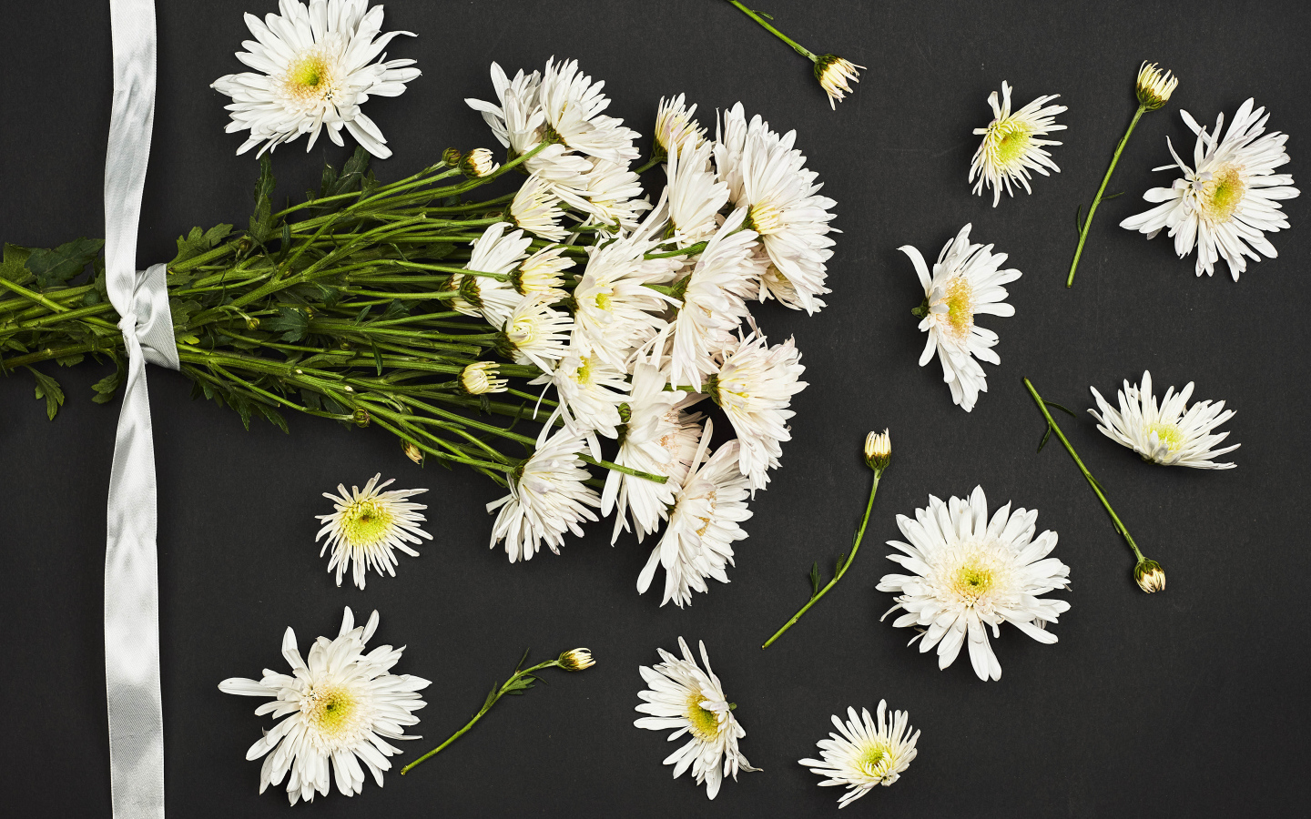 Букет белых хризантем на черном фоне