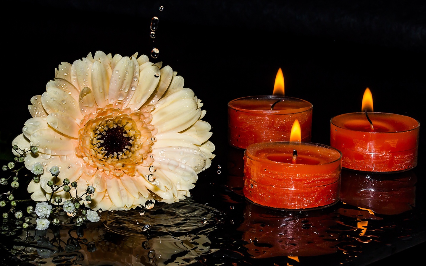Кремовая гербера со свечами на мокром столе