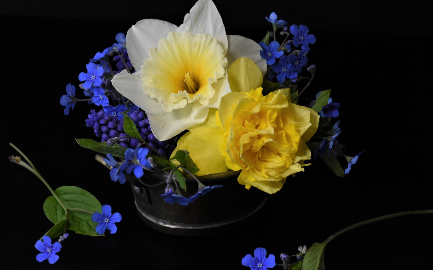 Цветы нарцисса с цветами незабудки в вазе на черном фоне