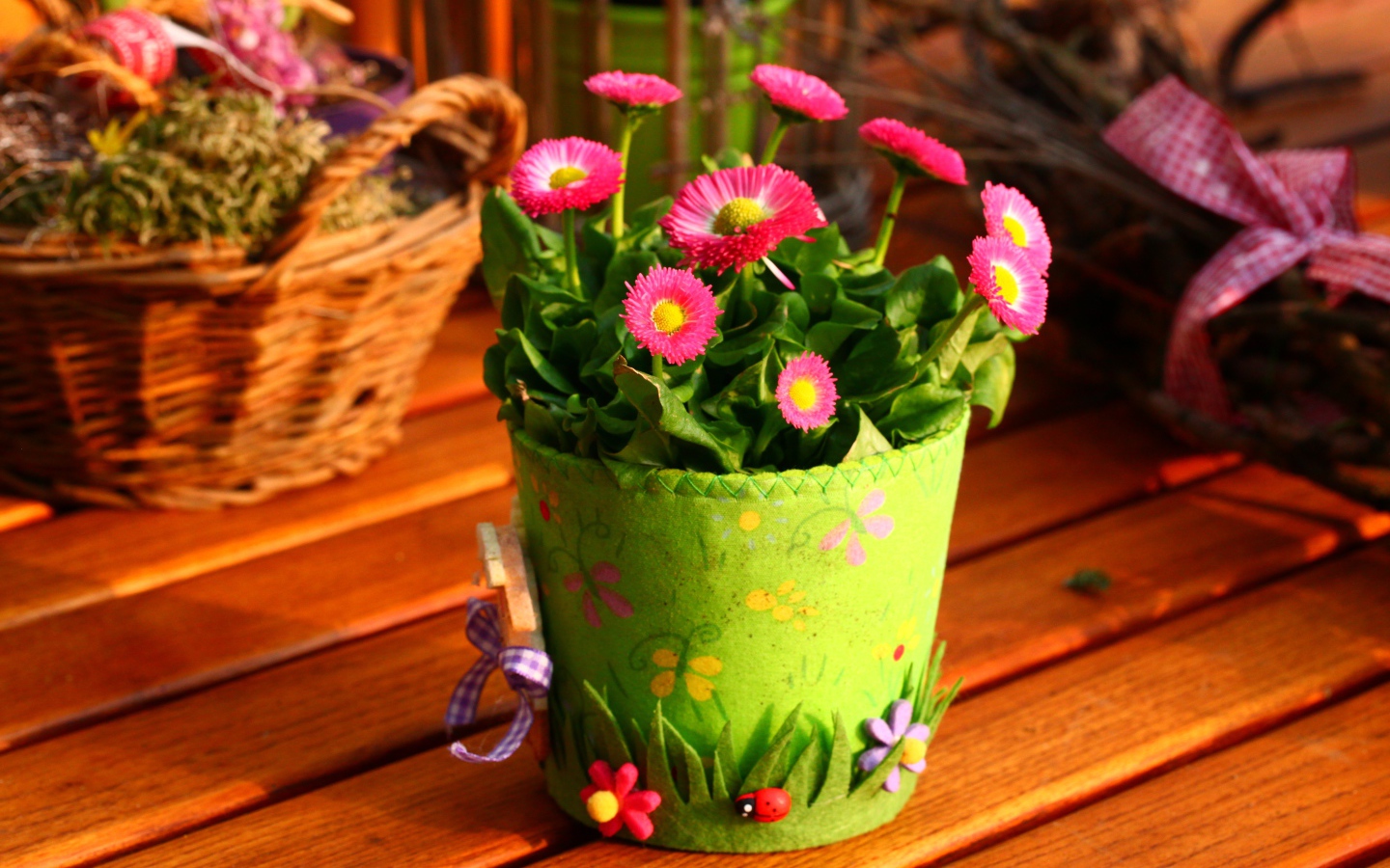 Розовые маргаритки на столе в зеленом горшке