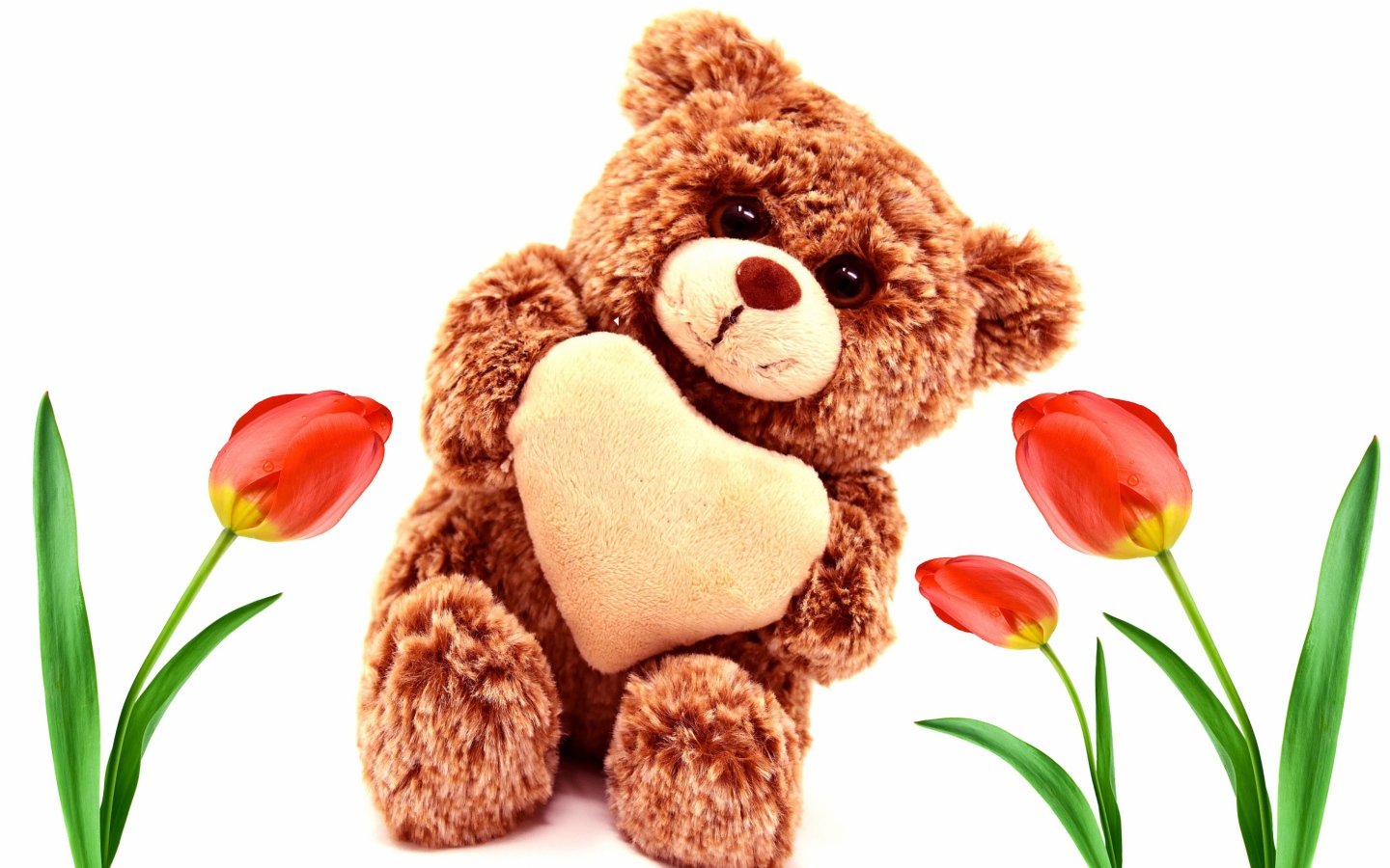 Игрушка медвежонок с красными тюльпанами на белом фоне