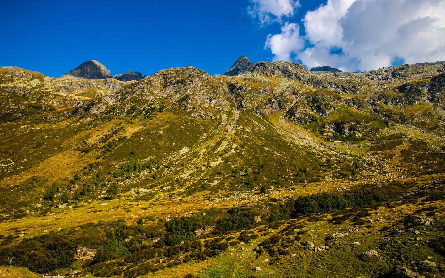 Покрытые зеленью Швейцарские альпы под голубым небом