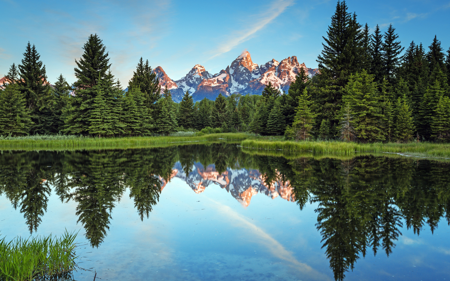 Зеленые высокие ели отражаются в озере на фоне гор