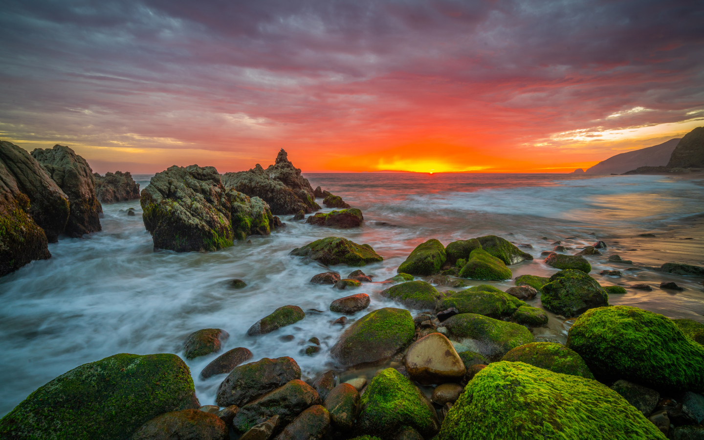 Покрытые зеленым мхом камни на берегу моря