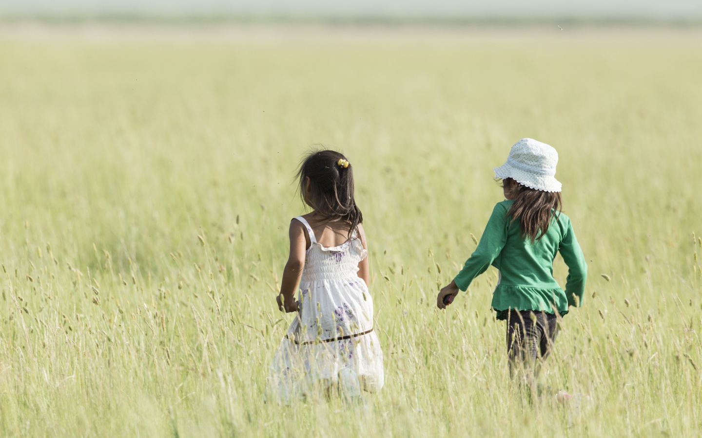 Две маленькие девочки гуляют по полю 