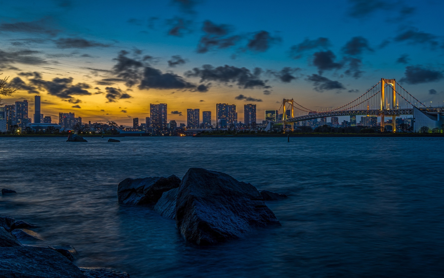 Вид на мост и мегаполис в сумерках, Япония