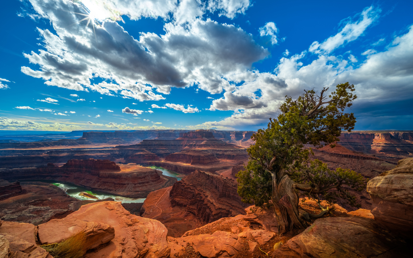 Красивый вид на каньон под голубым небом, США