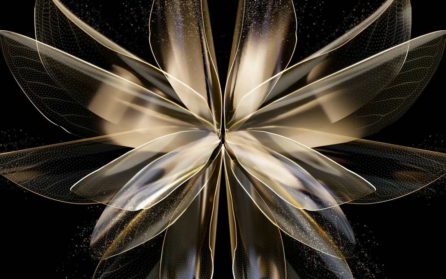 Красивый абстрактный цветок на черном фоне