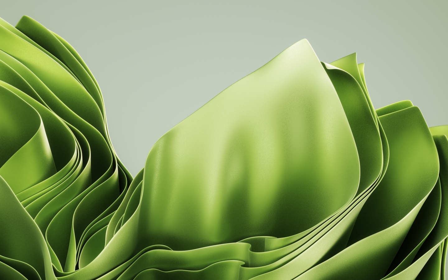 Зеленые абстрактные листья на сером фоне