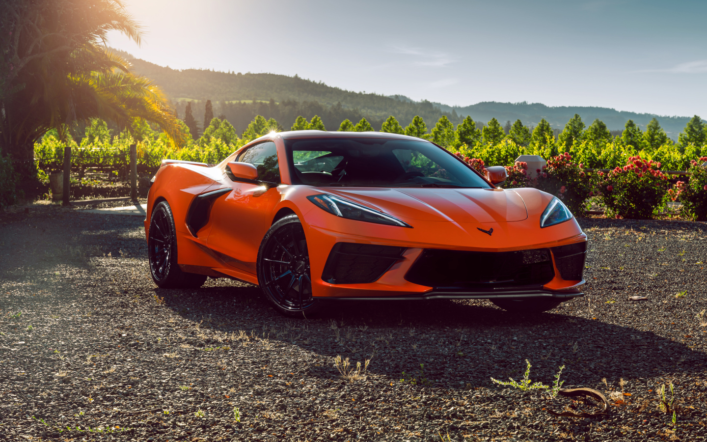 Быстрый гоночный автомобиль Chevrolet Corvette C8 в лучах солнца