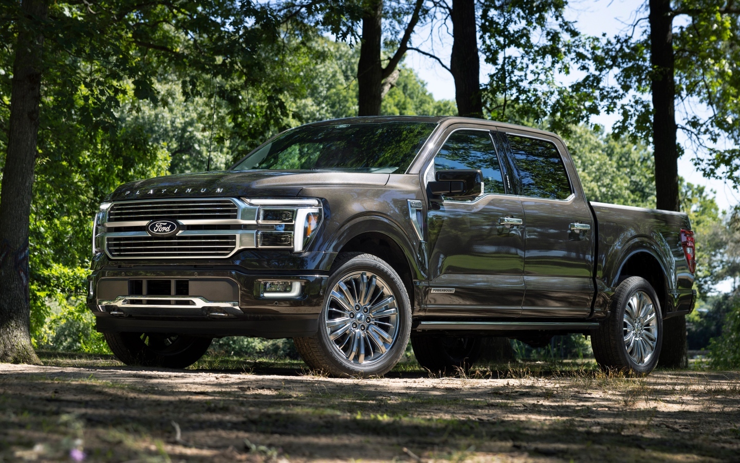 Большой пикап Ford F-150 Platinum 2024 года