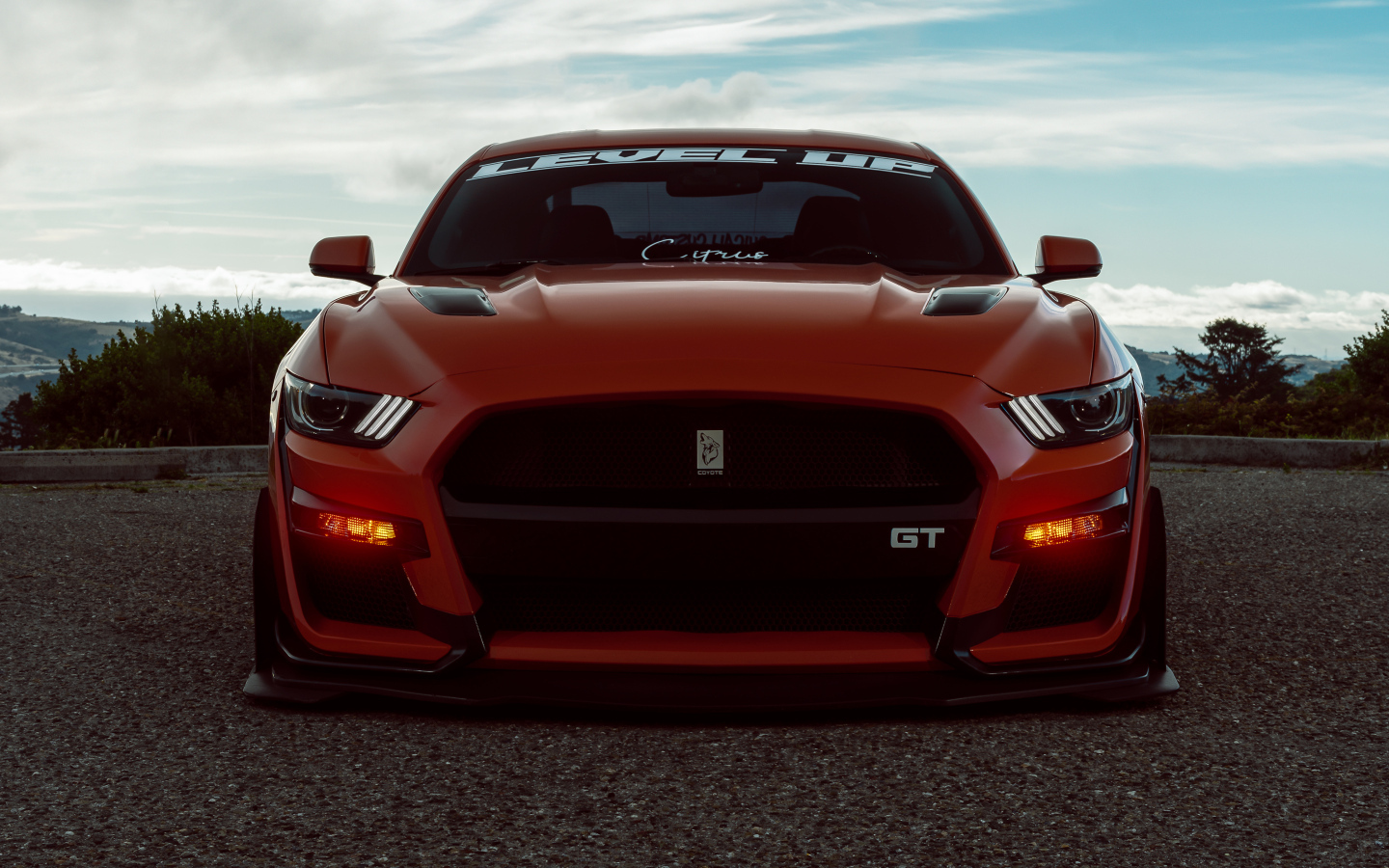 Красный спорткар Ford Shelby GT500 вид спереди