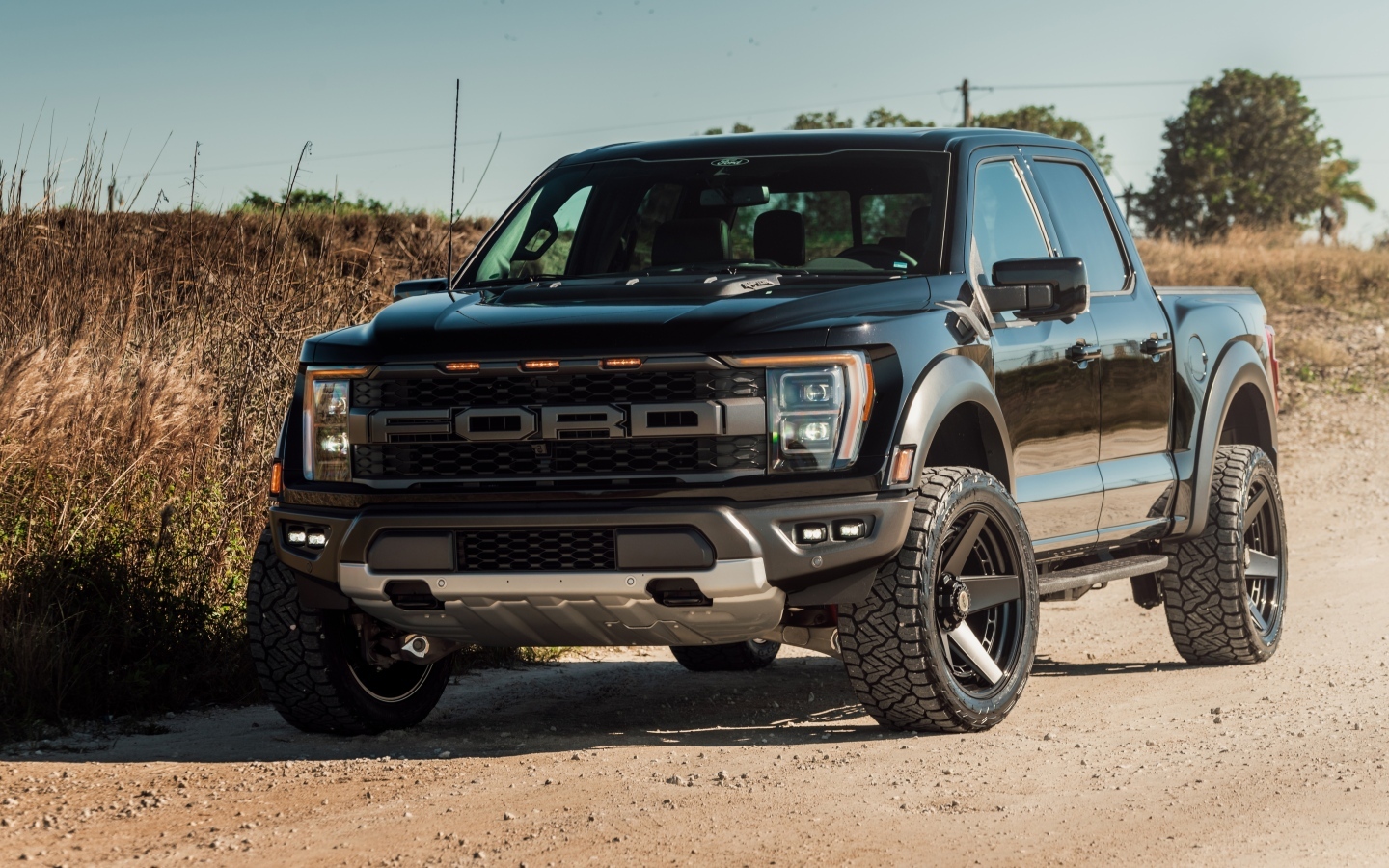 Внедорожник Ford Raptor