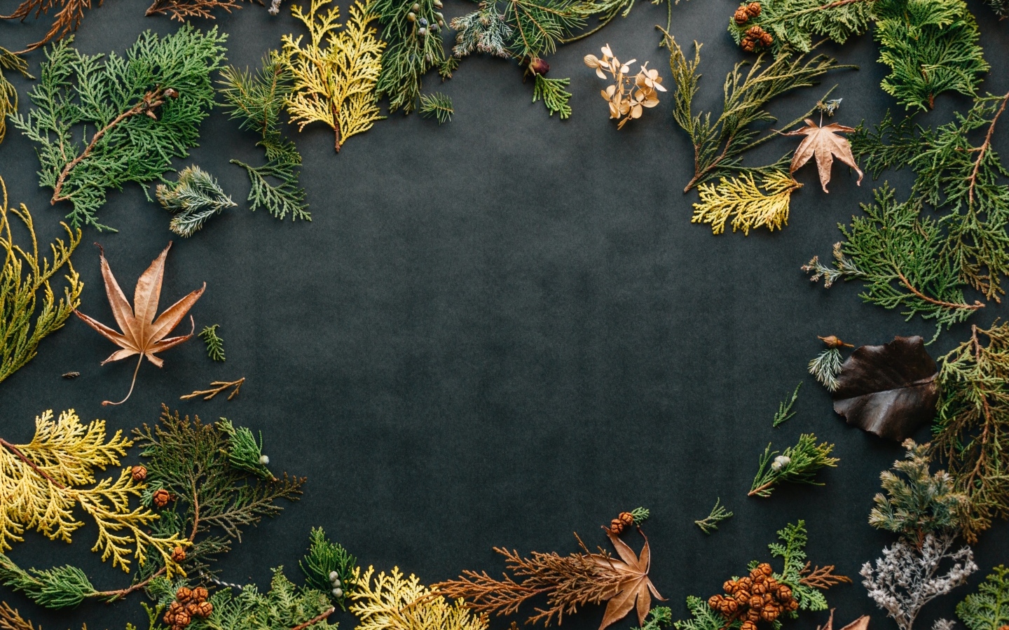 Серый фон с растениями