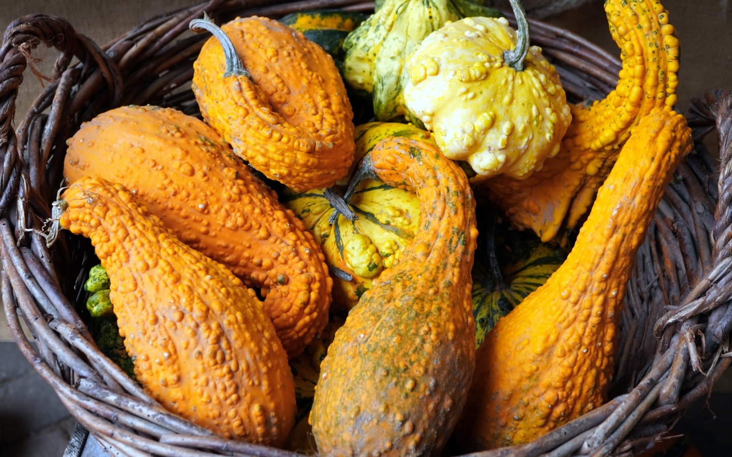 Много тыквы лежит в корзине осенью 