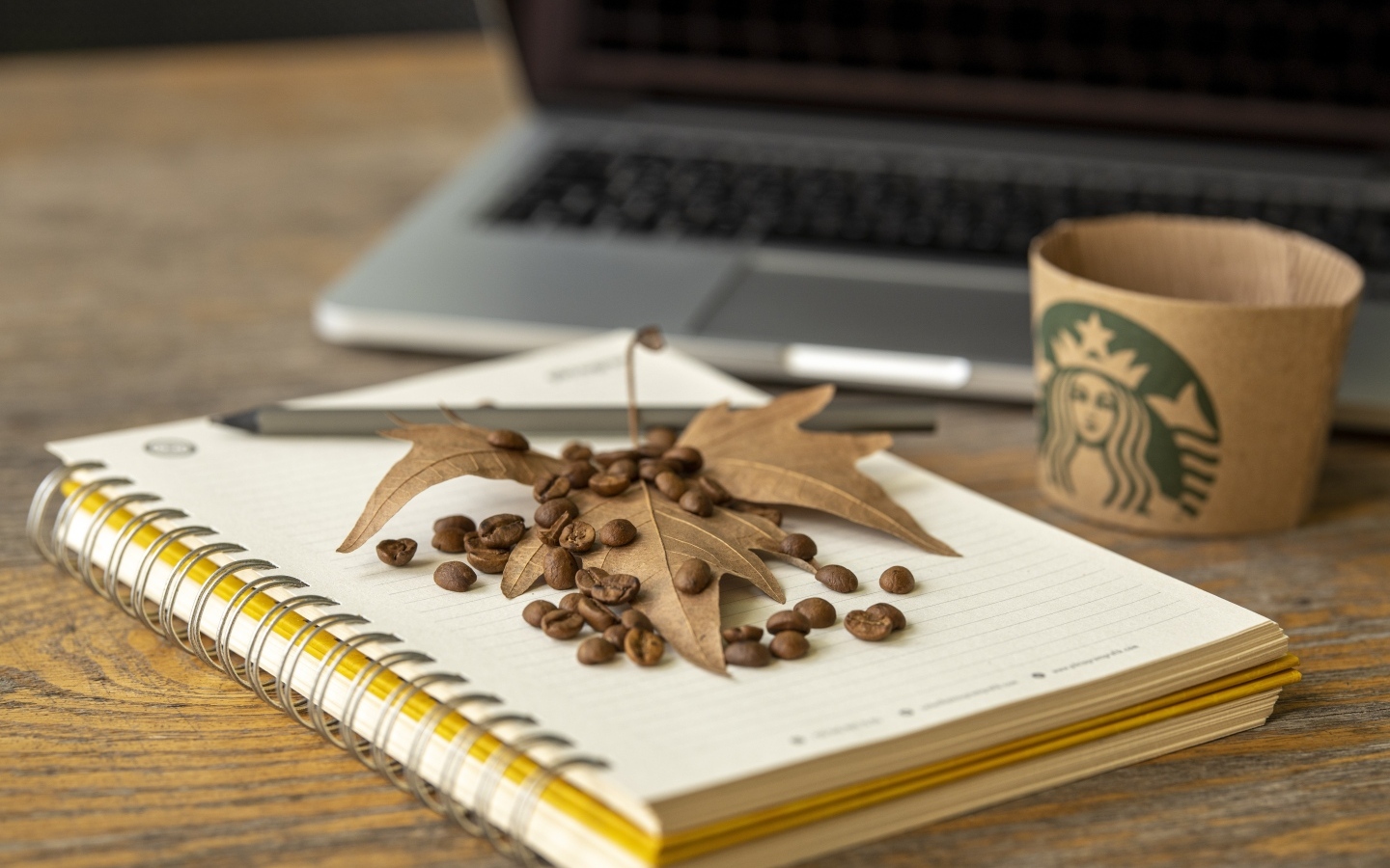 Зерна кофе с листом и блокнотом на столе