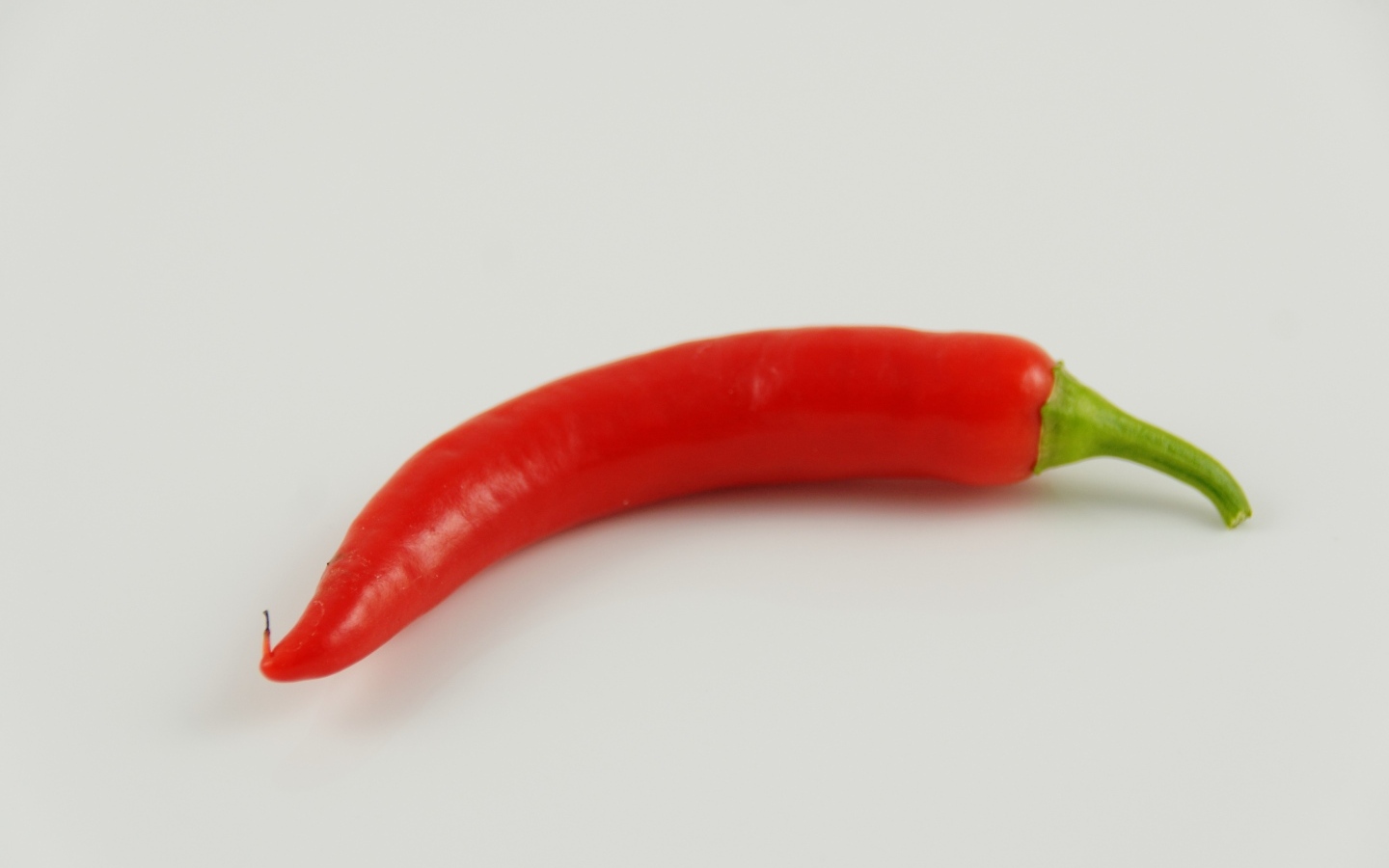 Острый красный перец на сером фоне