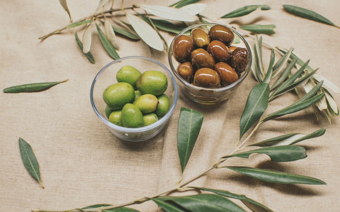 Оливки на столе с ветками