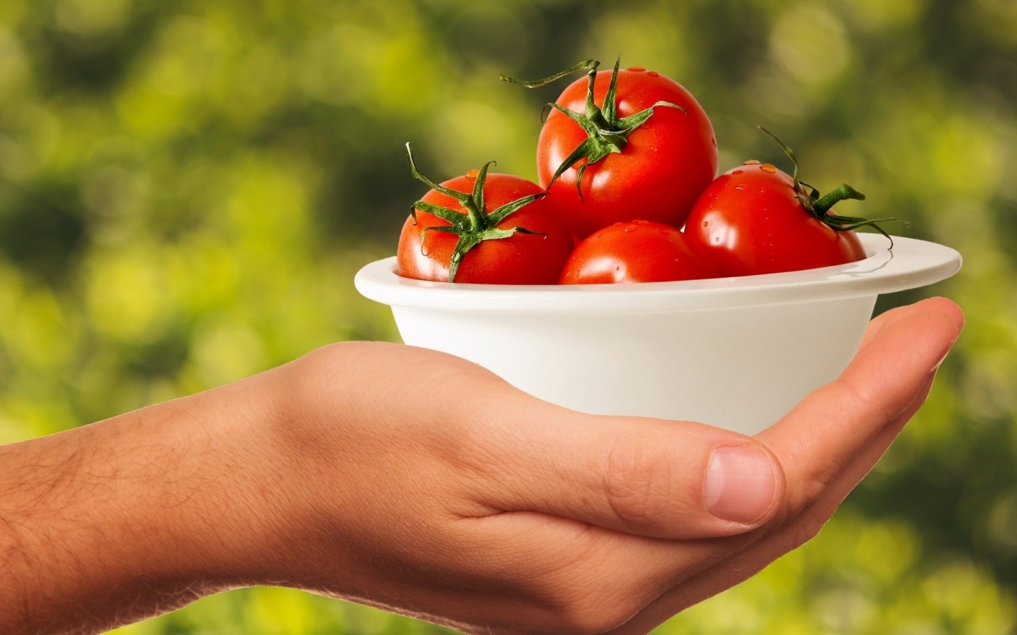 Спелые томаты в белой тарелке на руке