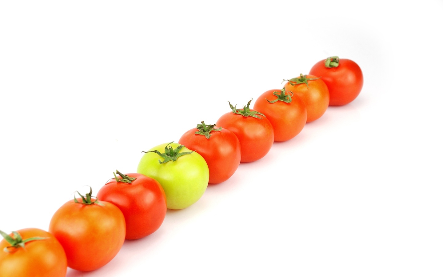 Ряд из помидоров на белом фоне