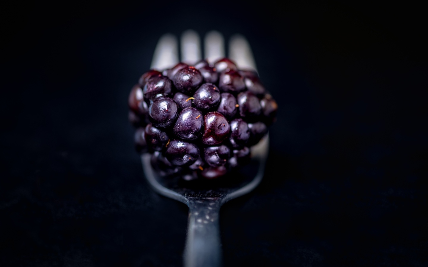 Ягода ежевики на вилке на черном фоне