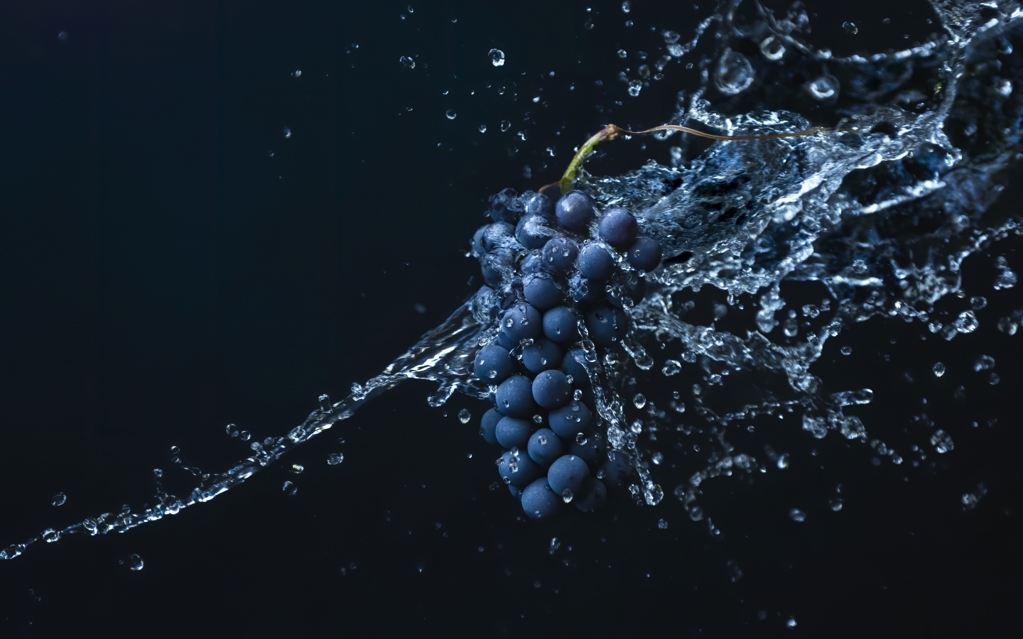 Гроздь синего винограда в воде на черном фоне