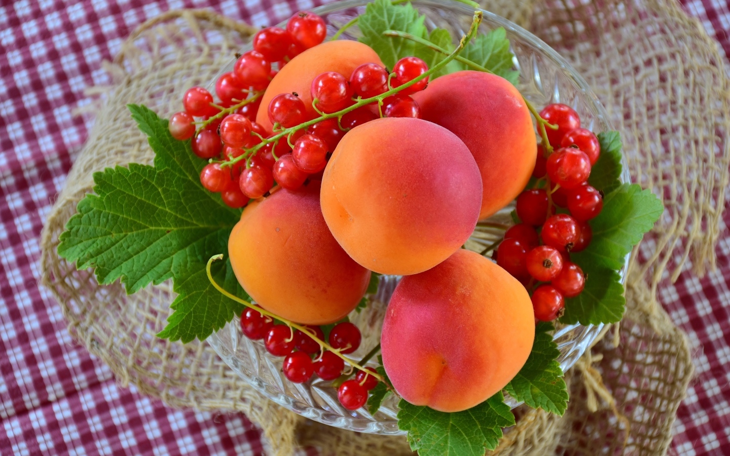 Большие сладкие абрикосы с красной смородиной