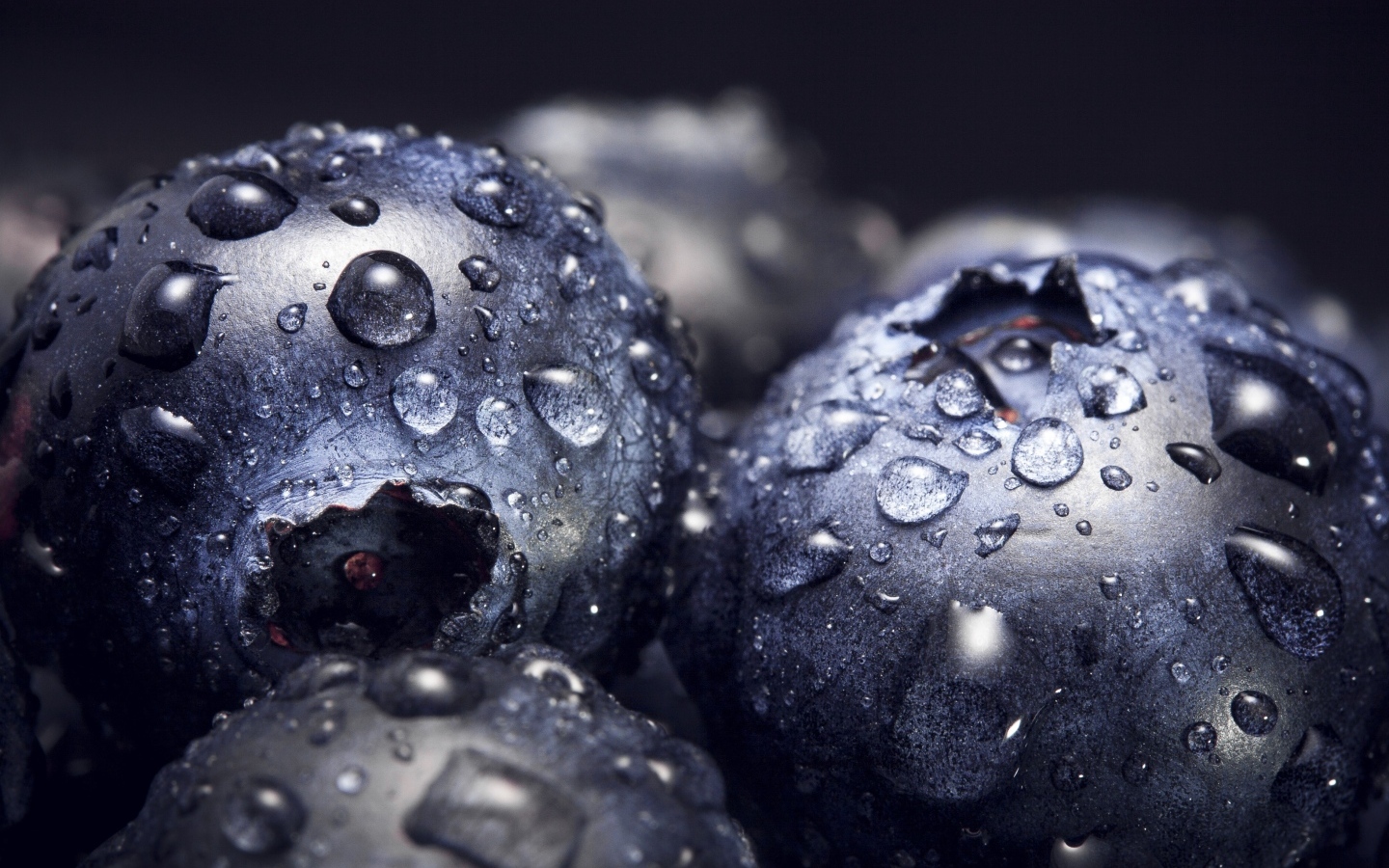 Круглые ягоды черники в каплях воды