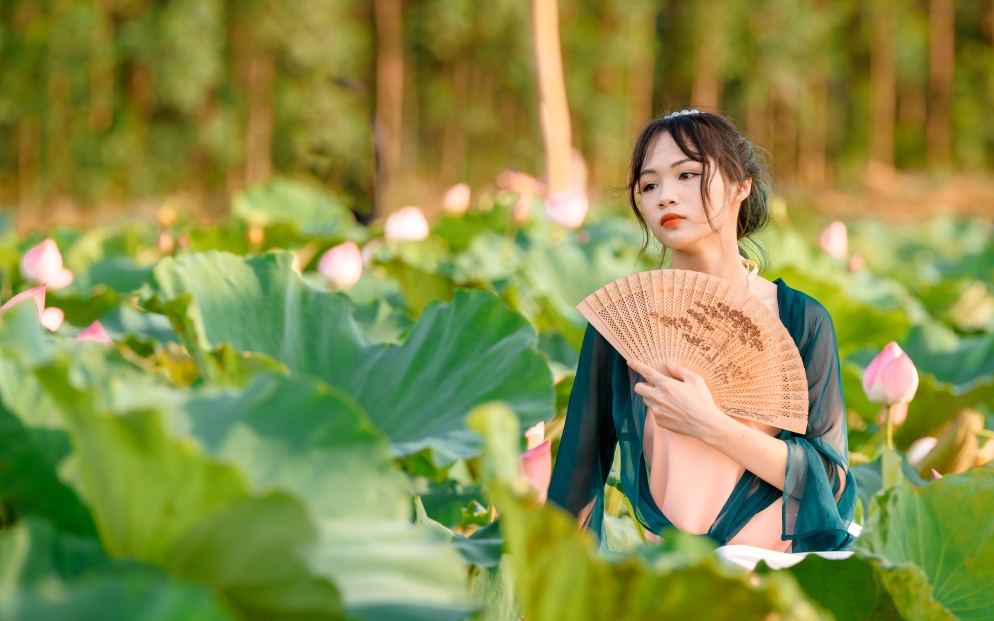 Девушка азиатка с веером в зеленых листьях лотоса