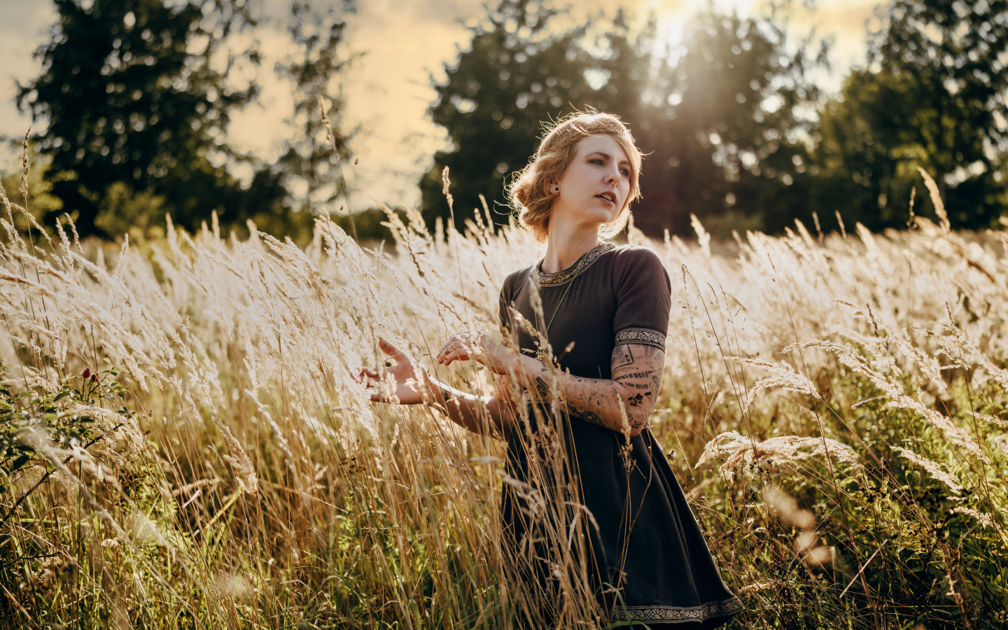 Красивая девушка в черном платье на поле с колосьями