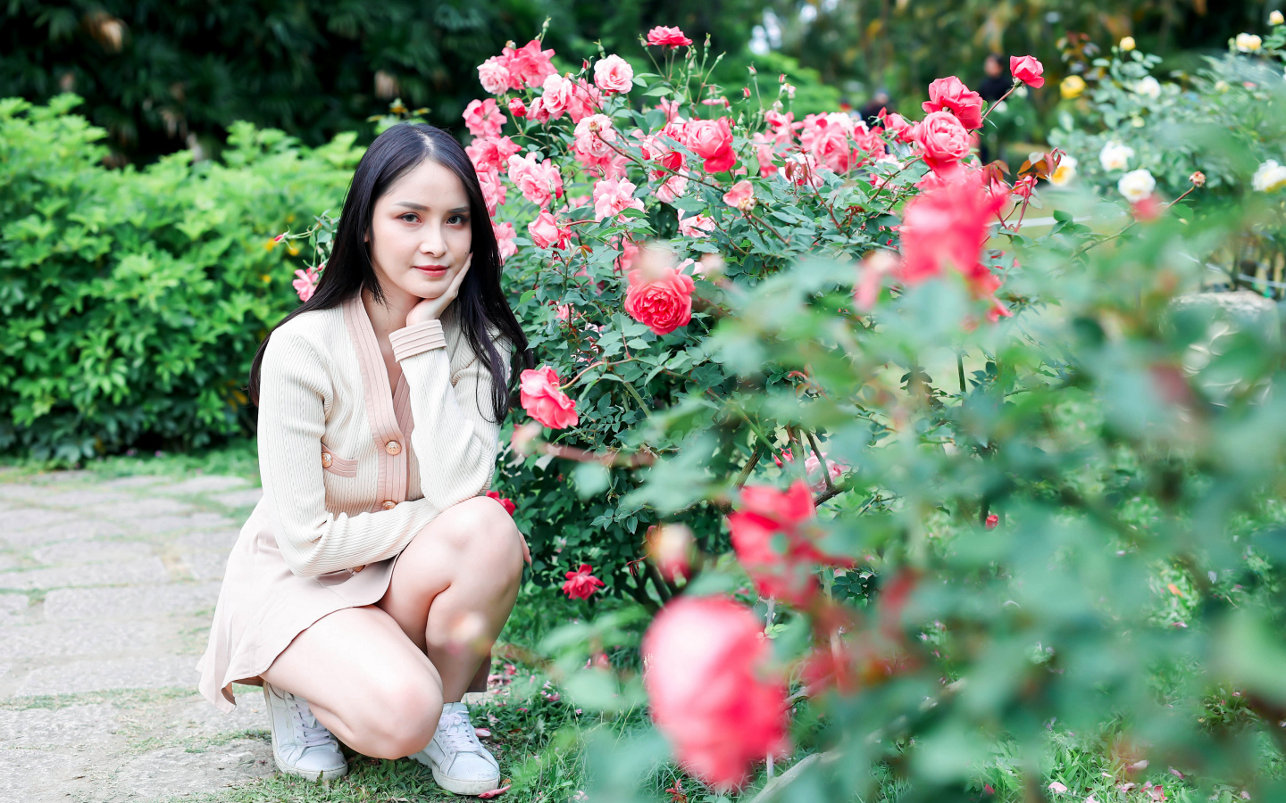 Красивая девушка сидит у куста роз