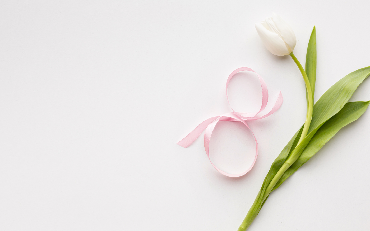 Тюльпан для любимой на 8 марта на розовом фоне