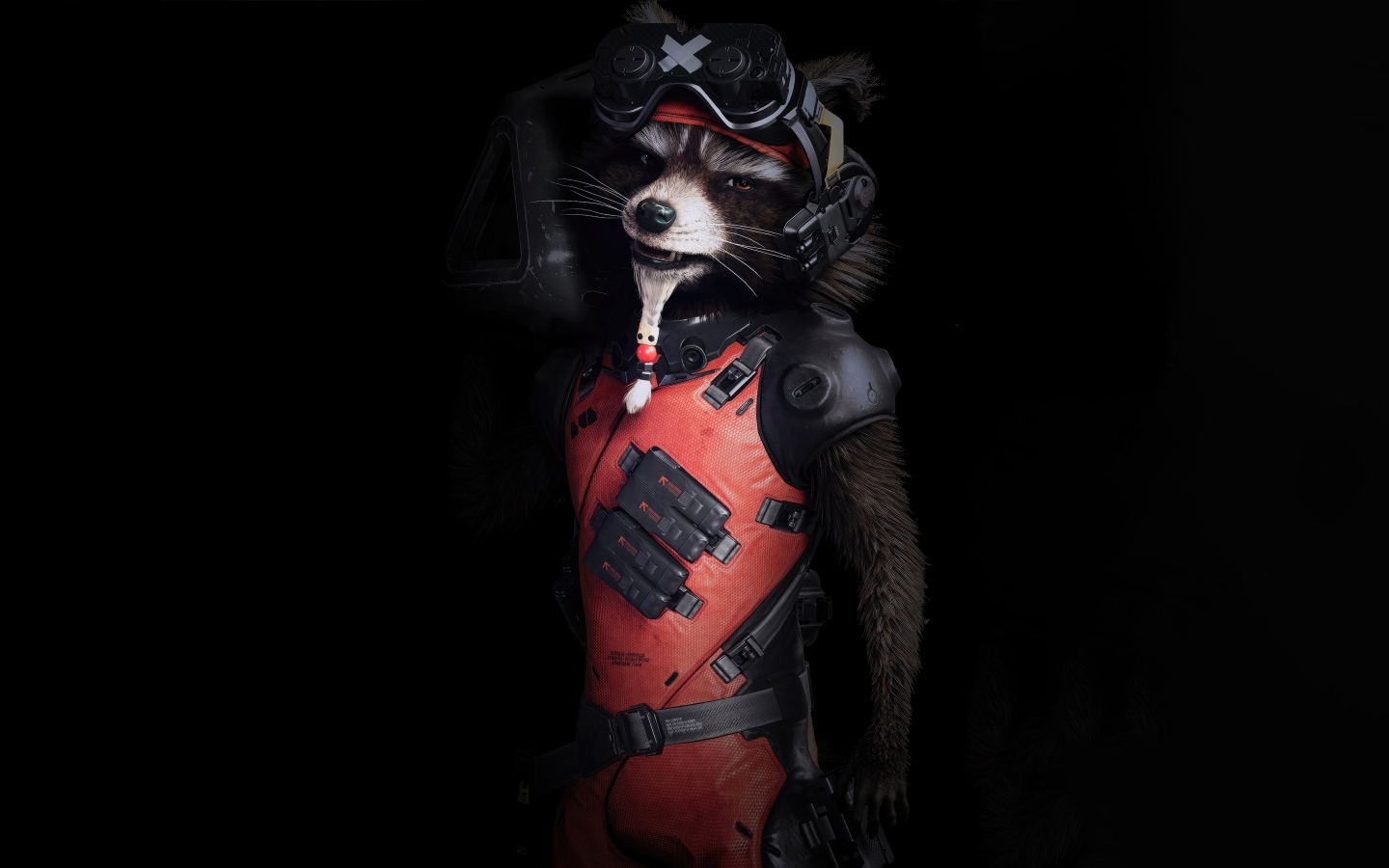 Енот в костюме на черном фоне