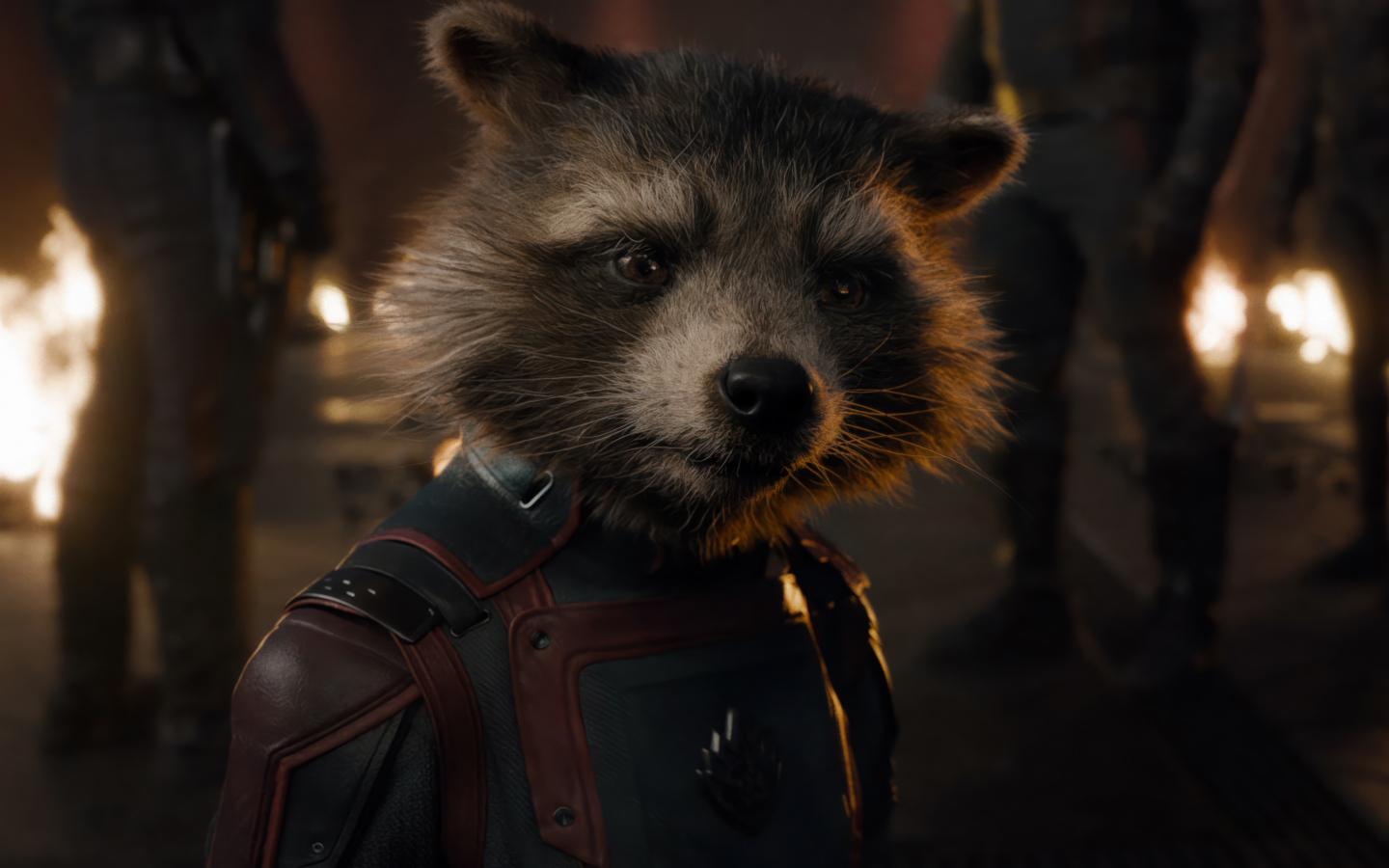 Енот Ракета персонаж фильма Стражи Галактики: Часть 3
