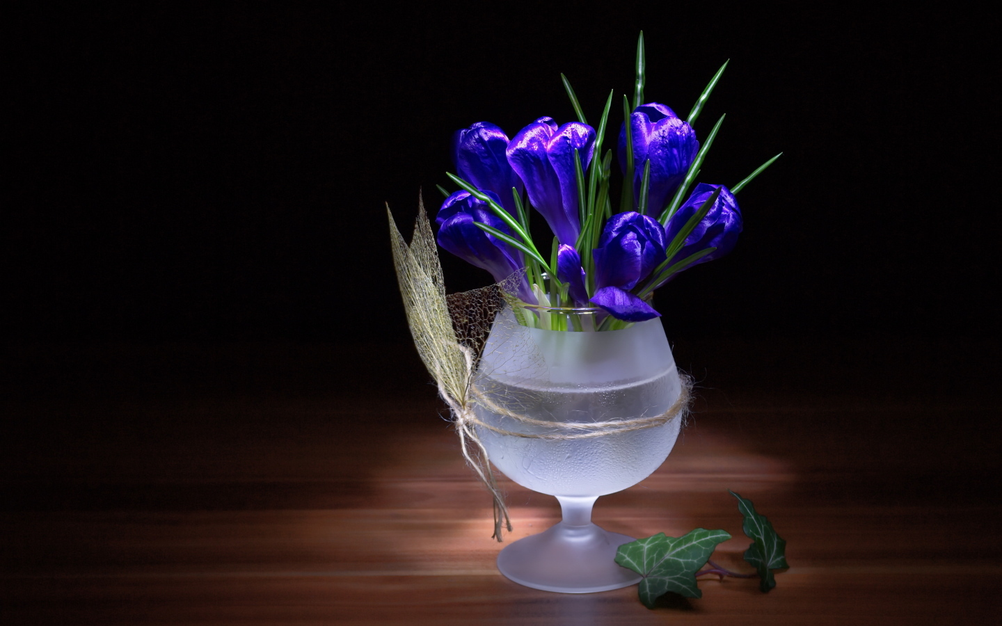 Синие крокусы в бокале на столе
