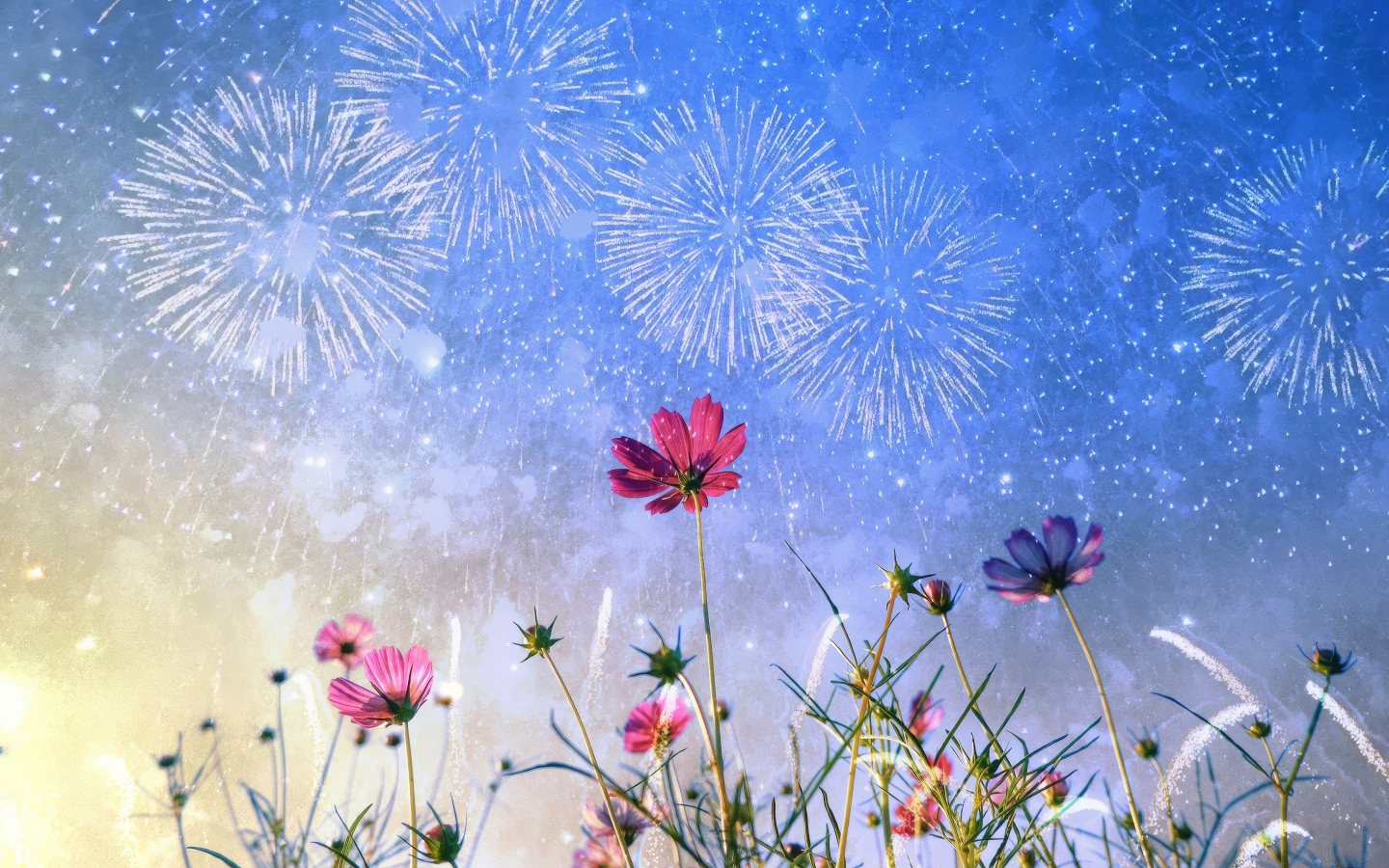 Салют в небе над цветами космеи