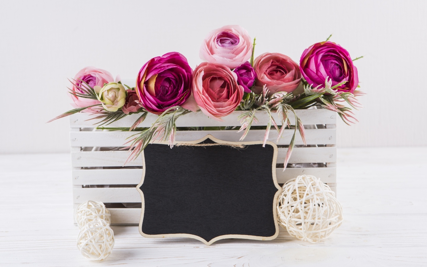 Розовые цветы лютика в белом ящике с рамкой