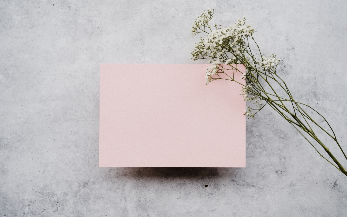 Белые цветы и лист розовой бумаги на сером фоне