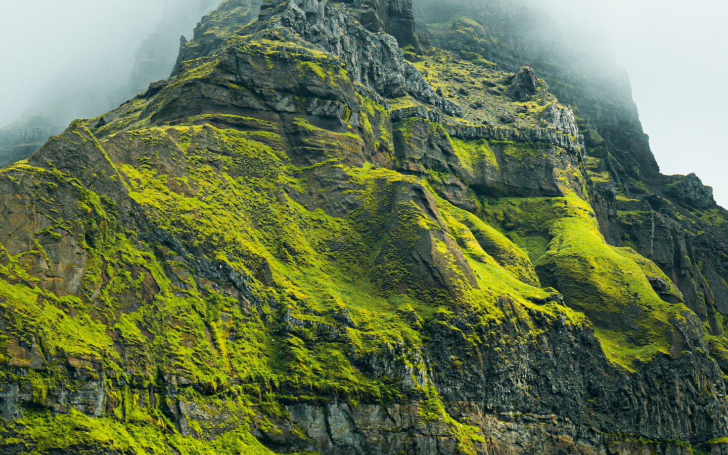 Высокая гора покрыта зеленой растительностью