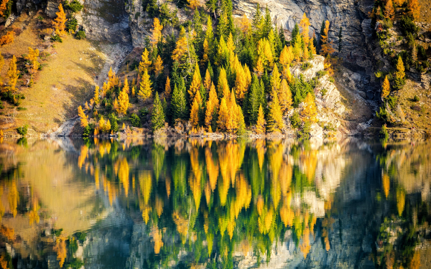 Деревья на краю горы отражаются в воде